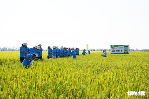 Truy thu thuế Tập đoàn Lộc Trời trên 51 tỉ đồng - Ảnh 2. Truy thu thuế Tập đoàn Lộc Trời trên 51 tỉ đồng - Ảnh 2.