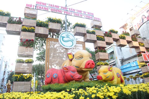 Xem vuông, tròn tại đường hoa nghệ thuật Cần Thơ - Ảnh 3. Xem vuông, tròn tại đường hoa nghệ thuật Cần Thơ - Ảnh 3.