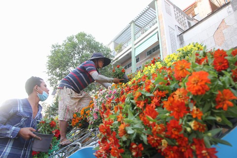 Xem vuông, tròn tại đường hoa nghệ thuật Cần Thơ - Ảnh 11. Xem vuông, tròn tại đường hoa nghệ thuật Cần Thơ - Ảnh 11.