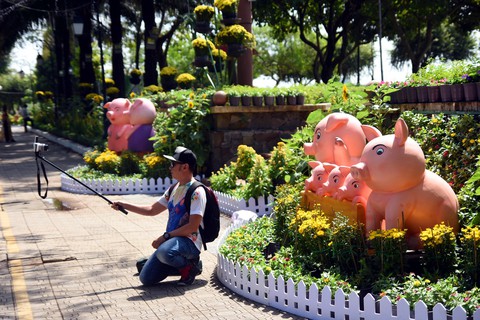 Heo siêu anh hùng tại đường hoa Biên Hòa bị chê xấu và dữ tợn - Ảnh 9. Heo siêu anh hùng tại đường hoa Biên Hòa bị chê xấu và dữ tợn - Ảnh 9.
