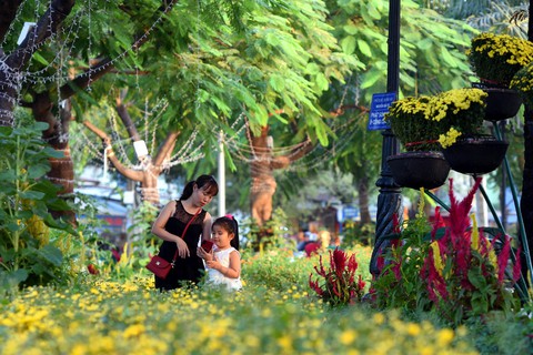 Heo siêu anh hùng tại đường hoa Biên Hòa bị chê xấu và dữ tợn - Ảnh 5. Heo siêu anh hùng tại đường hoa Biên Hòa bị chê xấu và dữ tợn - Ảnh 5.