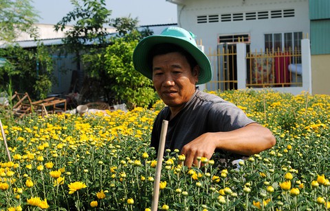 Thăng trầm làng hoa Sa Đéc - Kỳ 6: Gian nan nghề hoa - Ảnh 1. Thăng trầm làng hoa Sa Đéc - Kỳ 6: Gian nan nghề hoa - Ảnh 1.