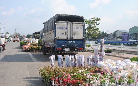 Thăng trầm làng hoa Sa Đéc - Kỳ 6: Gian nan nghề hoa - Ảnh 4. Thăng trầm làng hoa Sa Đéc - Kỳ 6: Gian nan nghề hoa - Ảnh 4.