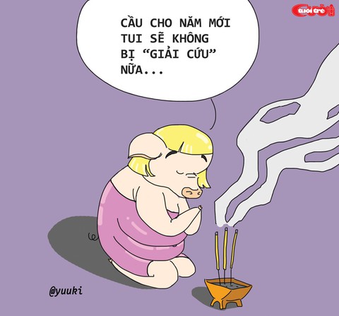Ngày Tết ăn heo nào ngon nhất? - Ảnh 3. Ngày Tết ăn heo nào ngon nhất? - Ảnh 3.