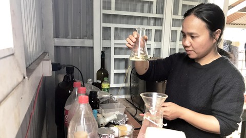 Vườn Tùng Hạ của Miên - Ảnh 6. Vườn Tùng Hạ của Miên - Ảnh 6.