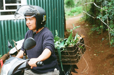 Vườn Tùng Hạ của Miên - Ảnh 3. Vườn Tùng Hạ của Miên - Ảnh 3.