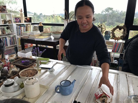 Vườn Tùng Hạ của Miên - Ảnh 7. Vườn Tùng Hạ của Miên - Ảnh 7.