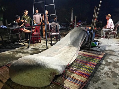 Phù Bài - rền vang tiếng đóng bánh khô - Ảnh 4. Phù Bài - rền vang tiếng đóng bánh khô - Ảnh 4.