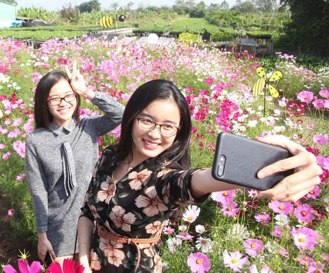 Hoa miền Tây: mỏ vàng du lịch chưa được khai thác - Ảnh 1. Hoa miền Tây: mỏ vàng du lịch chưa được khai thác - Ảnh 1.