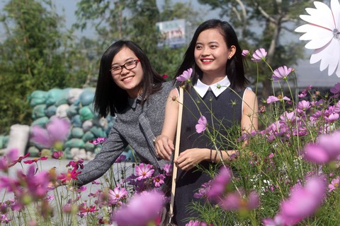 Hoa miền Tây: mỏ vàng du lịch chưa được khai thác - Ảnh 2. Hoa miền Tây: mỏ vàng du lịch chưa được khai thác - Ảnh 2.