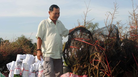 hoa kiểng