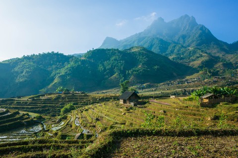 Đi giữa rừng già, chinh phục núi Muối miền Tây Bắc - Ảnh 1. Đi giữa rừng già, chinh phục núi Muối miền Tây Bắc - Ảnh 1.