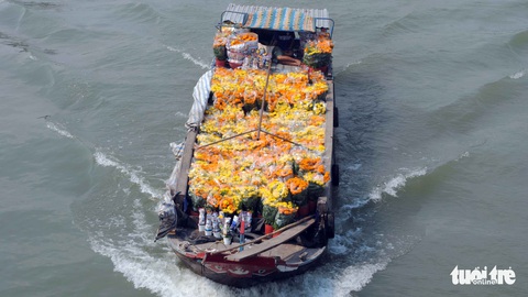 Thăng trầm làng hoa Sa Đéc - Kỳ 7: Thương hồ làng hoa - Ảnh 3.