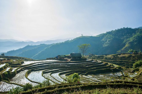 Đi giữa rừng già, chinh phục núi Muối miền Tây Bắc - Ảnh 4. Đi giữa rừng già, chinh phục núi Muối miền Tây Bắc - Ảnh 4.