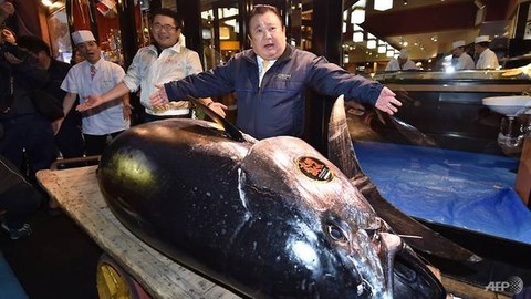 Con cá ngừ gần 300kg giá hơn 3 triệu đôla - Ảnh 1. Con cá ngừ gần 300kg giá hơn 3 triệu đôla - Ảnh 1.