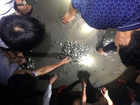 Dân lo ‘mất’ Tết vì ngao, nghêu chết hàng loạt - Ảnh 5. Dân lo ‘mất’ Tết vì ngao, nghêu chết hàng loạt - Ảnh 5.
