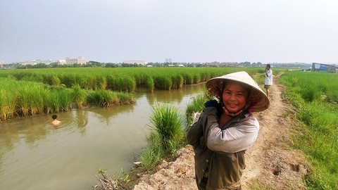 Kèo Nhà Cái Bí Kíp Thắng Lớn Hay Bẫy Chết Người?