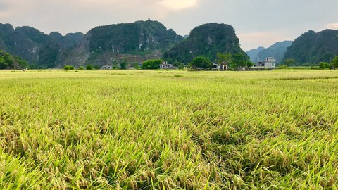 Về núi rừng hùng vĩ ở cố đô Ninh Bình - Ảnh 4. Về núi rừng hùng vĩ ở cố đô Ninh Bình - Ảnh 4.