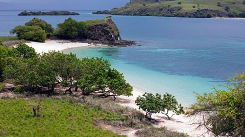 Indonesia lại mở cửa đảo rồng Komodo, ra mắt gói vé 1.000 USD - Ảnh 2. Indonesia lại mở cửa đảo rồng Komodo, ra mắt gói vé 1.000 USD - Ảnh 2.