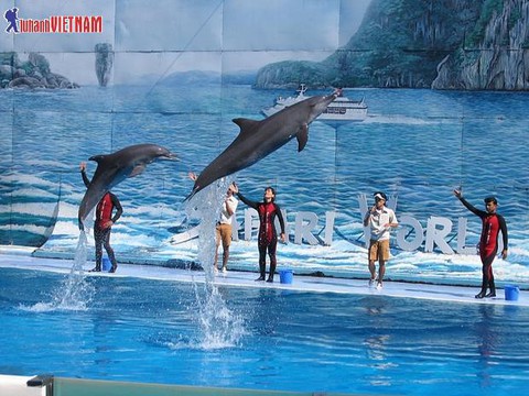 Giảm 1 triệu đồng tour Thái Lan dịp cuối năm - Ảnh 5. Giảm 1 triệu đồng tour Thái Lan dịp cuối năm - Ảnh 5.