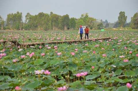Quên lũ bằng sinh kế mới - Ảnh 1. Quên lũ bằng sinh kế mới - Ảnh 1.