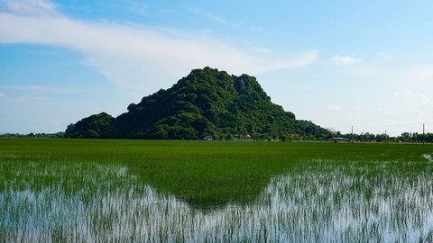 Hà Tiên, thành phố của những cánh đồng xanh - Ảnh 3. Hà Tiên, thành phố của những cánh đồng xanh - Ảnh 3.
