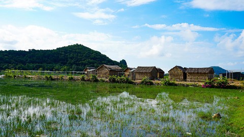 Hà Tiên, thành phố của những cánh đồng xanh - Ảnh 7. Hà Tiên, thành phố của những cánh đồng xanh - Ảnh 7.