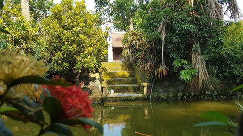 Sự thật sau những tác phẩm để đời - Kỳ 1: Ao thu xanh mướt giữa vườn Bùi - Ảnh 1. Sự thật sau những tác phẩm để đời - Kỳ 1: Ao thu xanh mướt giữa vườn Bùi - Ảnh 1.