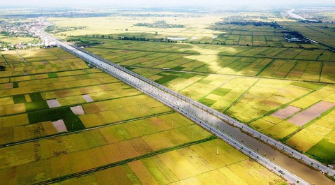 Hải Phòng đưa vào khai thác trục đường đôi gần 1.300 tỉ đồng - Ảnh 1. Hải Phòng đưa vào khai thác trục đường đôi gần 1.300 tỉ đồng - Ảnh 1.