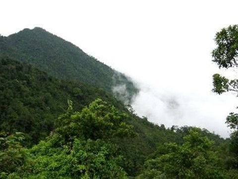 Dự án Tam Đảo 2: Báo cáo đánh giá tác động môi trường được thẩm định chặt chẽ - Ảnh 2. Dự án Tam Đảo 2: Báo cáo đánh giá tác động môi trường được thẩm định chặt chẽ - Ảnh 2.