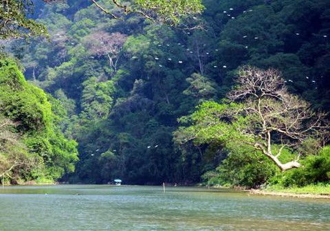 Dự án Tam Đảo 2: Báo cáo đánh giá tác động môi trường được thẩm định chặt chẽ - Ảnh 3. Dự án Tam Đảo 2: Báo cáo đánh giá tác động môi trường được thẩm định chặt chẽ - Ảnh 3.