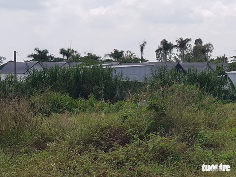 Khu nghỉ dưỡng xây gần xong, chính quyền mới phát hiện xây chui - Ảnh 3. Khu nghỉ dưỡng xây gần xong, chính quyền mới phát hiện xây chui - Ảnh 3.