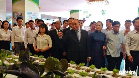 10 năm xây dựng nông thôn mới, nông dân Hải Phòng thu bình quân 55 triệu đồng/năm - Ảnh 1. 10 năm xây dựng nông thôn mới, nông dân Hải Phòng thu bình quân 55 triệu đồng/năm - Ảnh 1.