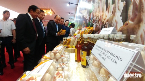 10 năm xây dựng nông thôn mới, nông dân Hải Phòng thu bình quân 55 triệu đồng/năm - Ảnh 2. 10 năm xây dựng nông thôn mới, nông dân Hải Phòng thu bình quân 55 triệu đồng/năm - Ảnh 2.