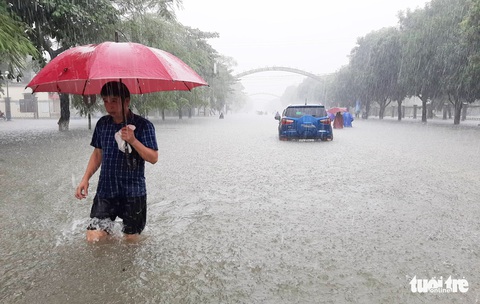 TP Vinh ngập lụt lịch sử, bộ đội đưa xe quân sự giải cứu học sinh - Ảnh 13. TP Vinh ngập lụt lịch sử, bộ đội đưa xe quân sự giải cứu học sinh - Ảnh 13.