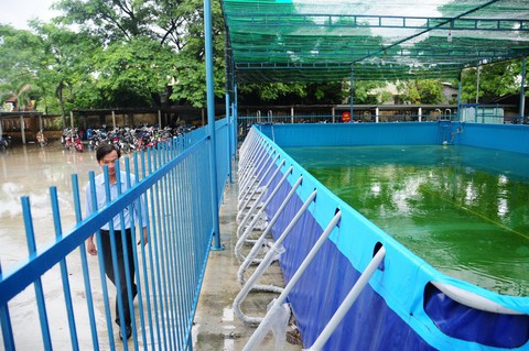 Thị xã ra hẳn nghị quyết để dạy bơi cho học sinh - Ảnh 1. Thị xã ra hẳn nghị quyết để dạy bơi cho học sinh - Ảnh 1.