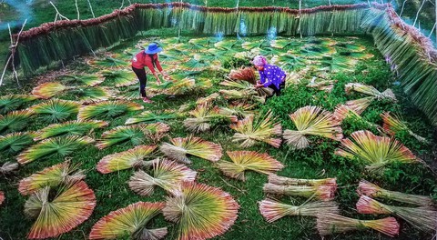 Đến Bảo tàng Phụ nữ Nam Bộ xem những bức ảnh bình yên - Ảnh 5. Đến Bảo tàng Phụ nữ Nam Bộ xem những bức ảnh bình yên - Ảnh 5.