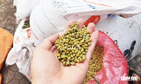 Nhiều tiểu thương chợ Vinh trắng tay sau đợt ngập lụt lịch sử - Ảnh 8. Nhiều tiểu thương chợ Vinh trắng tay sau đợt ngập lụt lịch sử - Ảnh 8.
