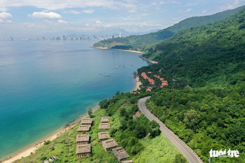 Kiến nghị điều tra công ty của Vũ ‘nhôm’ tham gia xẻ nát Sơn Trà - Ảnh 2. Kiến nghị điều tra công ty của Vũ ‘nhôm’ tham gia xẻ nát Sơn Trà - Ảnh 2.