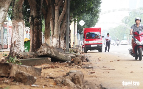 TP Vinh thay hơn 300 cây xanh làm phố đi bộ, dân tiếc nuối - Ảnh 5. TP Vinh thay hơn 300 cây xanh làm phố đi bộ, dân tiếc nuối - Ảnh 5.
