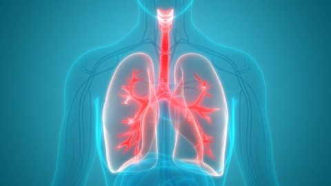 Vì sao những người thừa cân thường bị hen suyễn? - Ảnh 1. Vì sao những người thừa cân thường bị hen suyễn? - Ảnh 1.