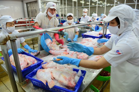 TP.HCM lo mất vai trò đầu tàu - Ảnh 1. TP.HCM lo mất vai trò đầu tàu - Ảnh 1.