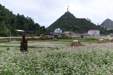 Khu du lịch ở Lũng Cú: Bộ Văn hóa không khuyến khích làm du lịch tâm linh - Ảnh 7. Khu du lịch ở Lũng Cú: Bộ Văn hóa không khuyến khích làm du lịch tâm linh - Ảnh 7.