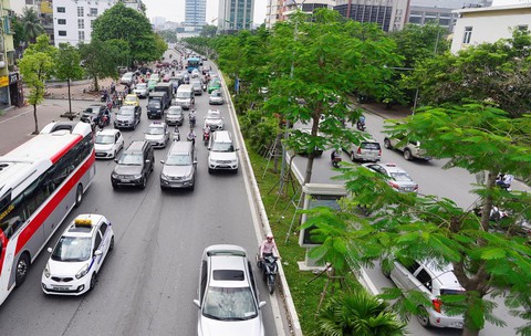 Hà Nội xin trồng thêm 600.000 cây xanh không qua đấu thầu - Ảnh 1. Hà Nội xin trồng thêm 600.000 cây xanh không qua đấu thầu - Ảnh 1.