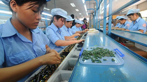 Giờ làm thêm và năng suất lao động - Ảnh 1. Giờ làm thêm và năng suất lao động - Ảnh 1.