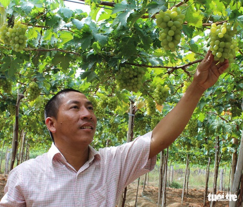 Tối nay người Hà Nội được thưởng thức nét đẹp Ninh Thuận - Ảnh 8. Tối nay người Hà Nội được thưởng thức nét đẹp Ninh Thuận - Ảnh 8.