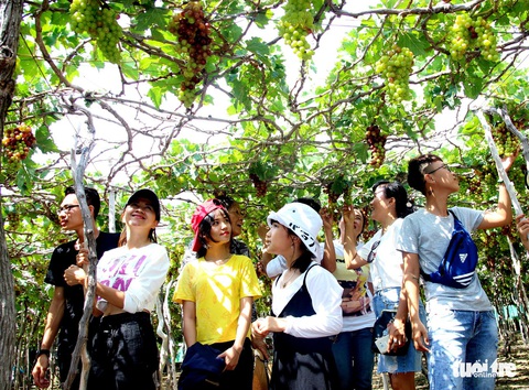 Tối nay người Hà Nội được thưởng thức nét đẹp Ninh Thuận - Ảnh 9. Tối nay người Hà Nội được thưởng thức nét đẹp Ninh Thuận - Ảnh 9.