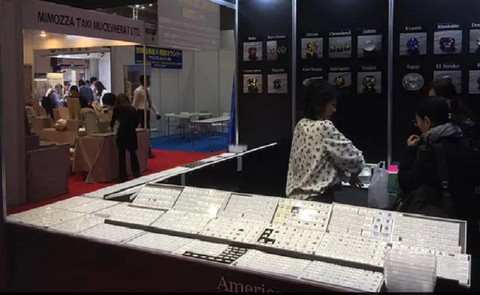 Viên kim cương 50 carat giá 1,8 triệu USD biến mất chớp mắt giữa chốn đông người - Ảnh 1. Viên kim cương 50 carat giá 1,8 triệu USD biến mất chớp mắt giữa chốn đông người - Ảnh 1.