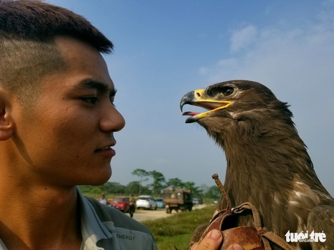 Mãn nhãn với những chú chim săn mồi sải cánh dũng mãnh - Ảnh 6. Mãn nhãn với những chú chim săn mồi sải cánh dũng mãnh - Ảnh 6.
