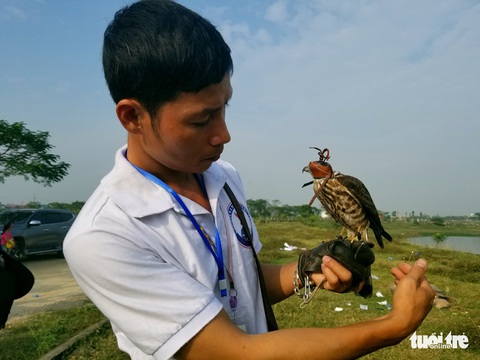 Mãn nhãn với những chú chim săn mồi sải cánh dũng mãnh - Ảnh 3. Mãn nhãn với những chú chim săn mồi sải cánh dũng mãnh - Ảnh 3.